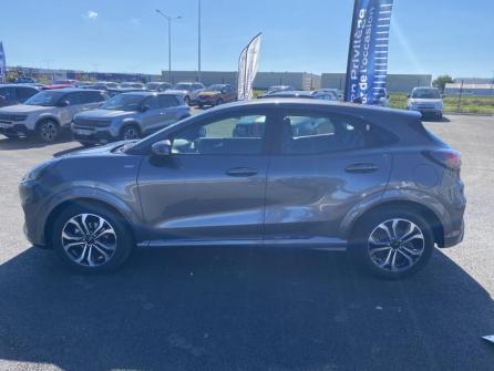 FORD Puma 1.5 EcoBlue 120ch ST-Line 6cv à vendre à Châteauroux - Image n°8