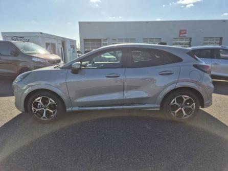 FORD Puma 1.0 EcoBoost Hybrid 125ch ST Line S&S Powershift à vendre à Montargis - Image n°8
